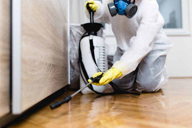 Best Best Pest Control Companies  in Mclean, TX