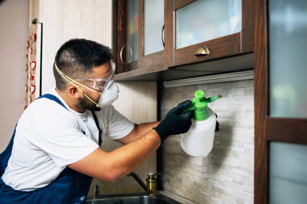 Best Flea Control Services  in Mclean, TX