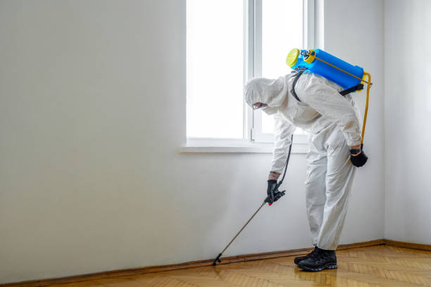 Best Affordable Pest Control Services  in Mclean, TX