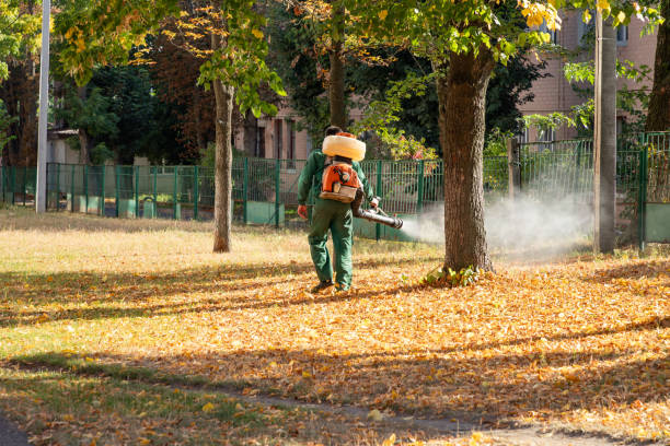 Reliable Mclean, TX Pest Control Solutions