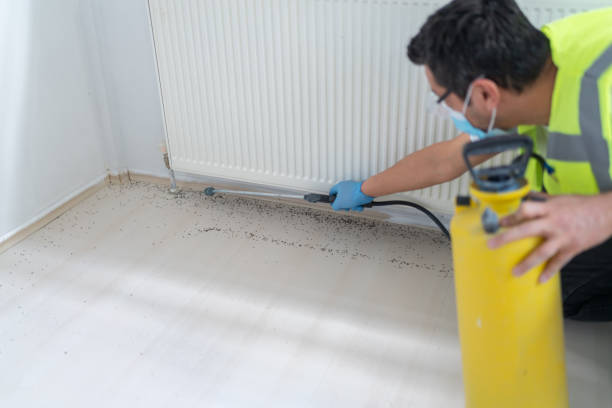 Pest Prevention Services in Mclean, TX