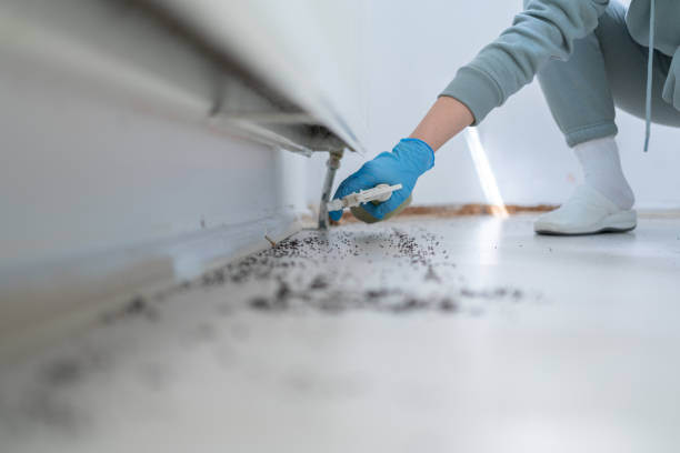 Best Wildlife Control Services  in Mclean, TX