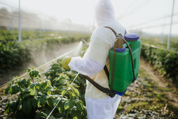 Best Pest Inspection Near Me  in Mclean, TX